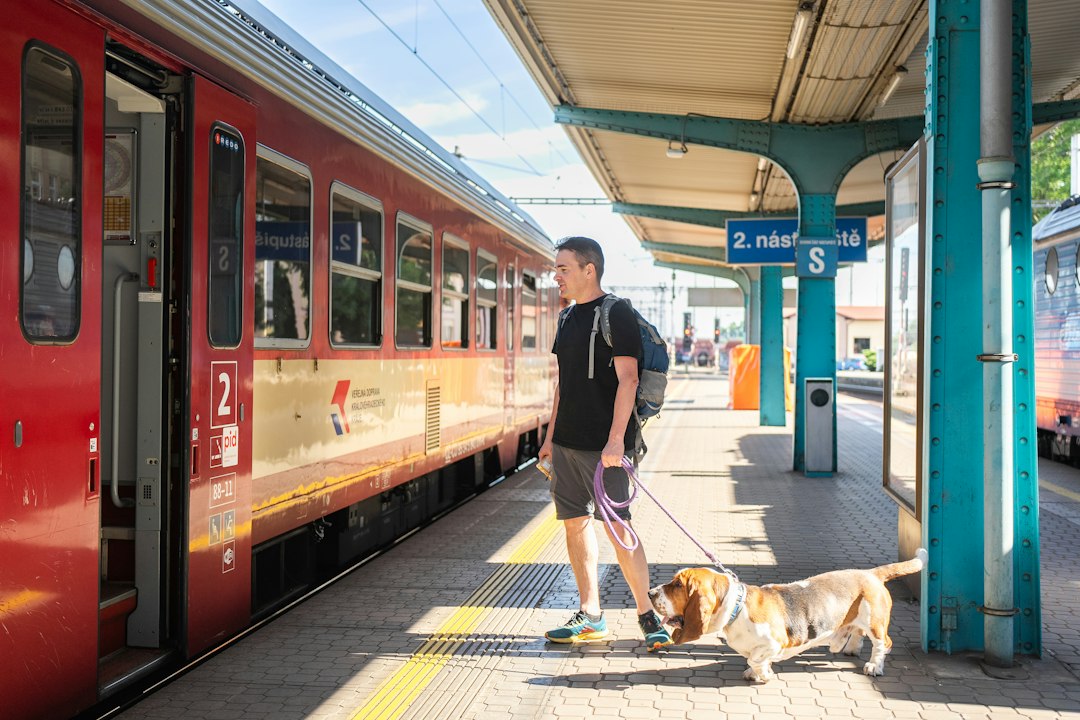 Train platform